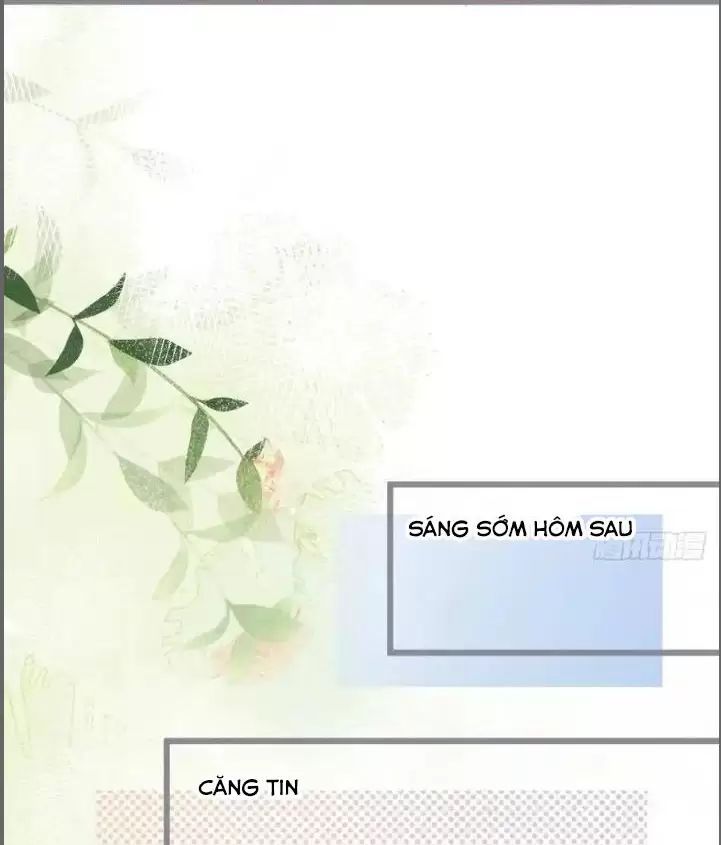 Hắc Đạo Đáng Yêu Chapter 233 - 27