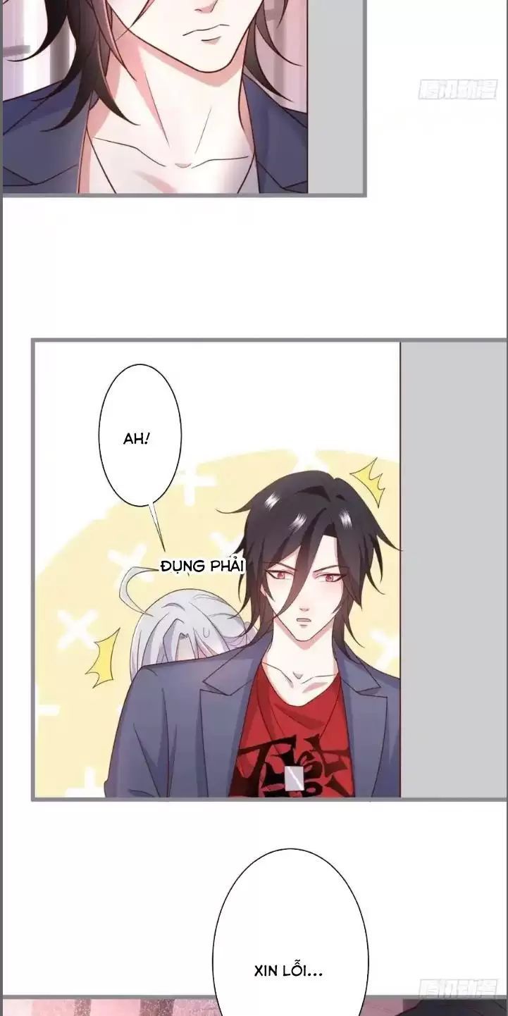 Hắc Đạo Đáng Yêu Chapter 234 - 20