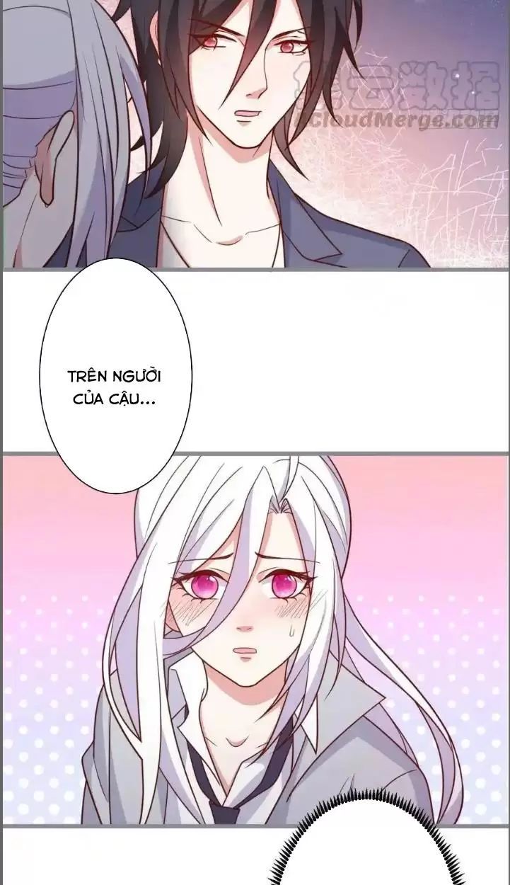 Hắc Đạo Đáng Yêu Chapter 234 - 28