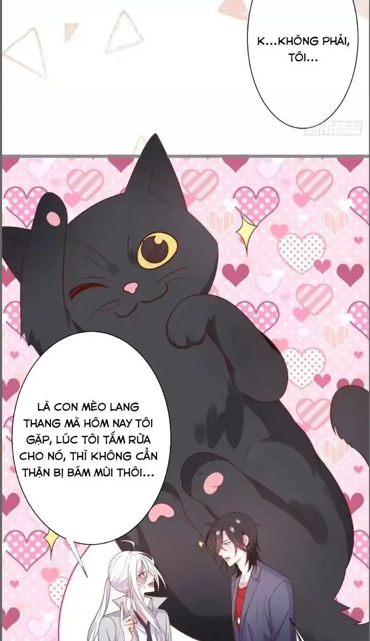 Hắc Đạo Đáng Yêu Chapter 234 - 31