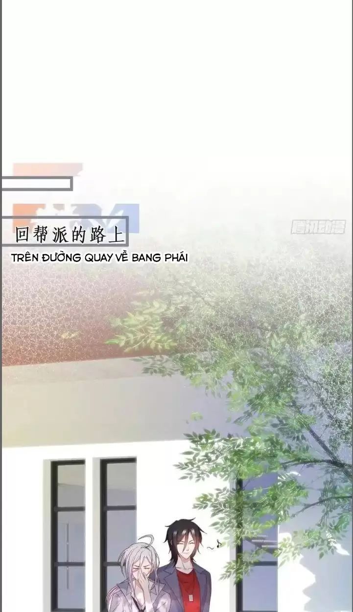 Hắc Đạo Đáng Yêu Chapter 234 - 33