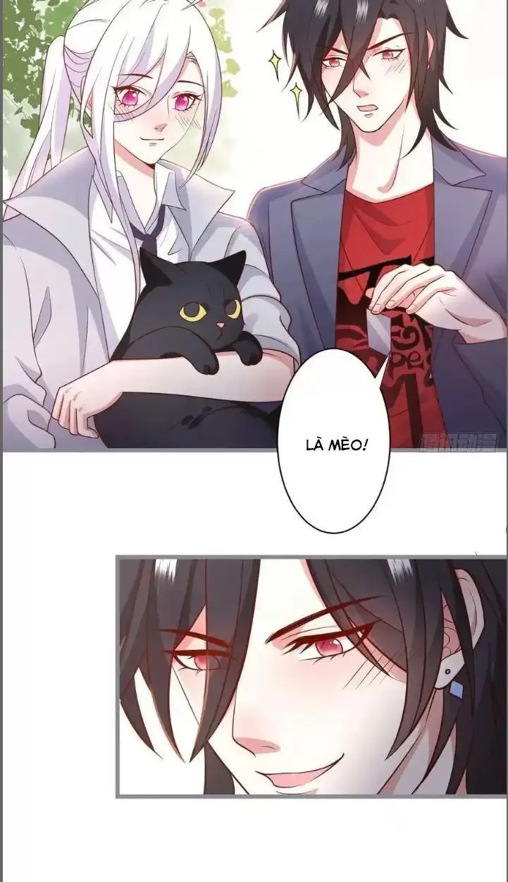 Hắc Đạo Đáng Yêu Chapter 234 - 39