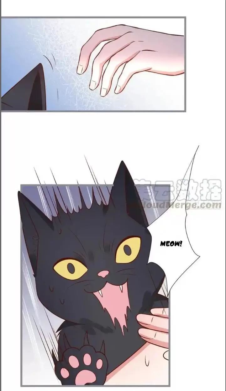 Hắc Đạo Đáng Yêu Chapter 234 - 40