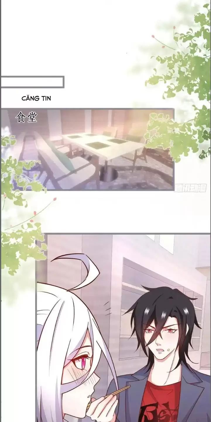 Hắc Đạo Đáng Yêu Chapter 234 - 5