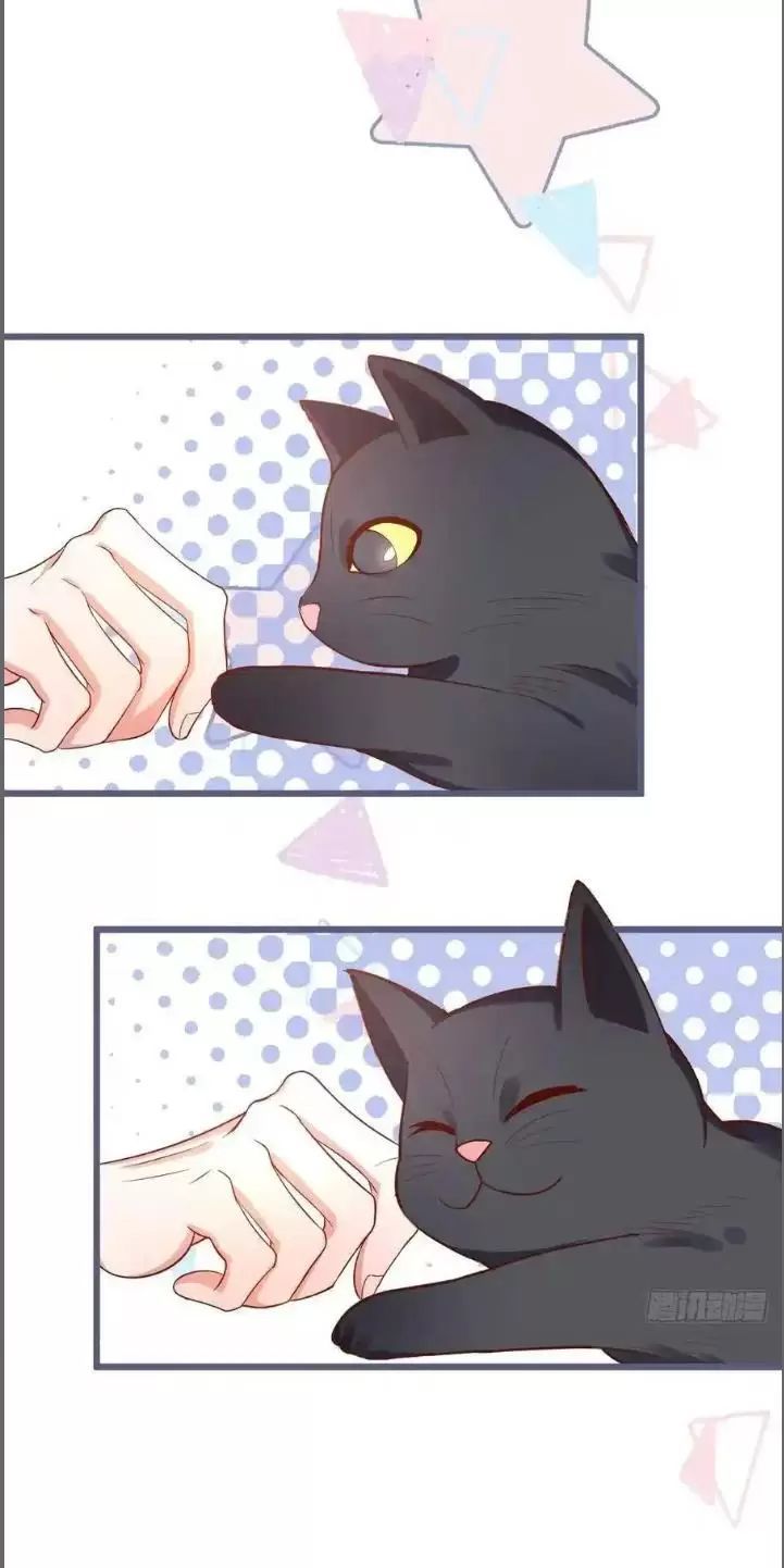 Hắc Đạo Đáng Yêu Chapter 235 - 13