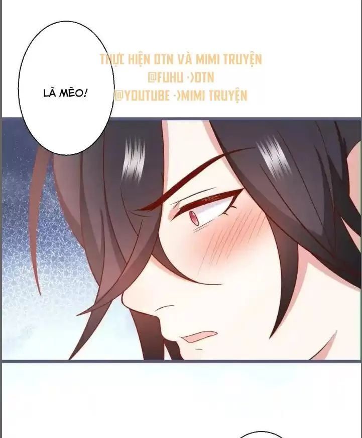 Hắc Đạo Đáng Yêu Chapter 235 - 14