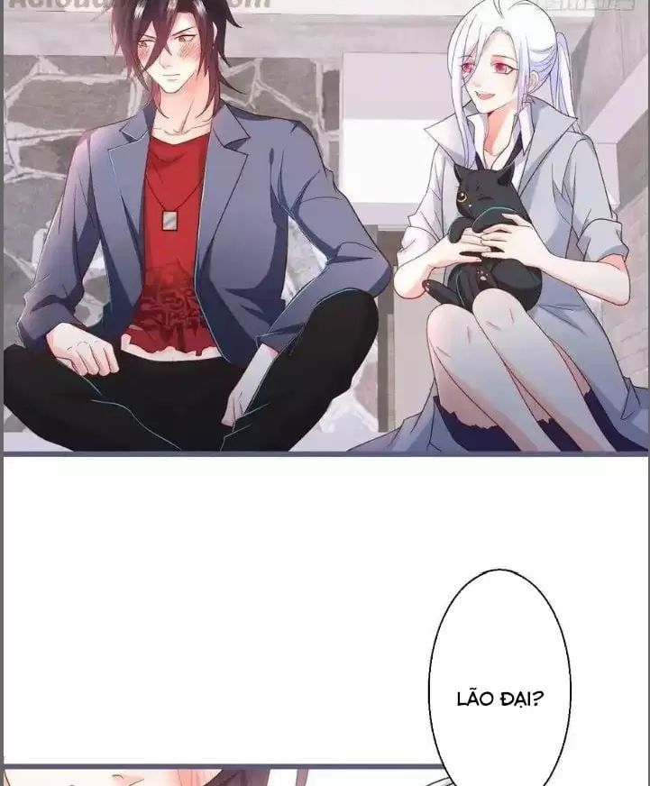 Hắc Đạo Đáng Yêu Chapter 235 - 21