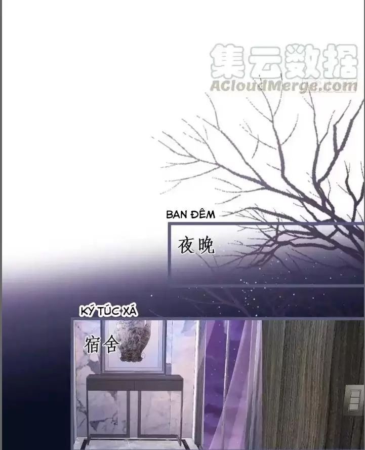 Hắc Đạo Đáng Yêu Chapter 235 - 29
