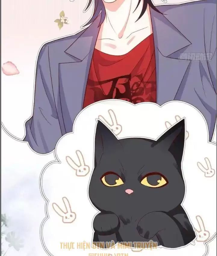 Hắc Đạo Đáng Yêu Chapter 235 - 35