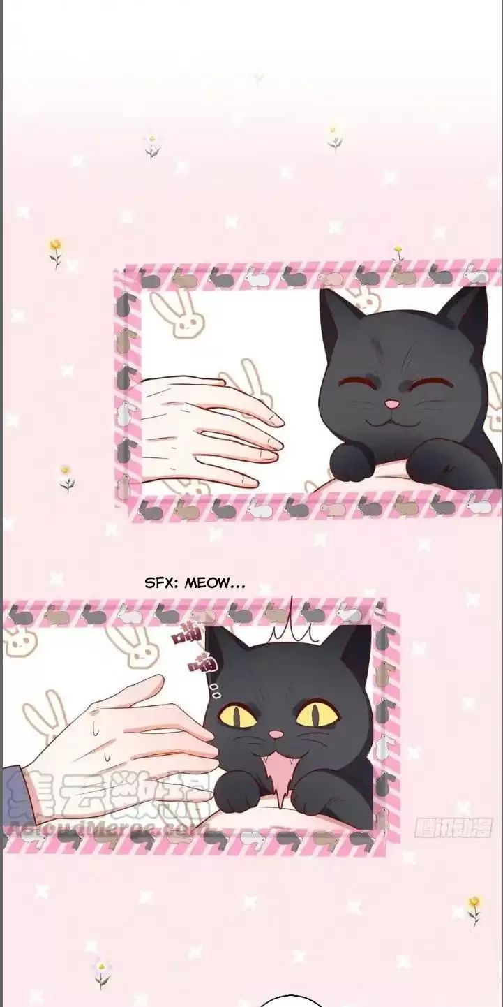 Hắc Đạo Đáng Yêu Chapter 235 - 7