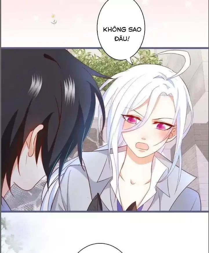 Hắc Đạo Đáng Yêu Chapter 235 - 8