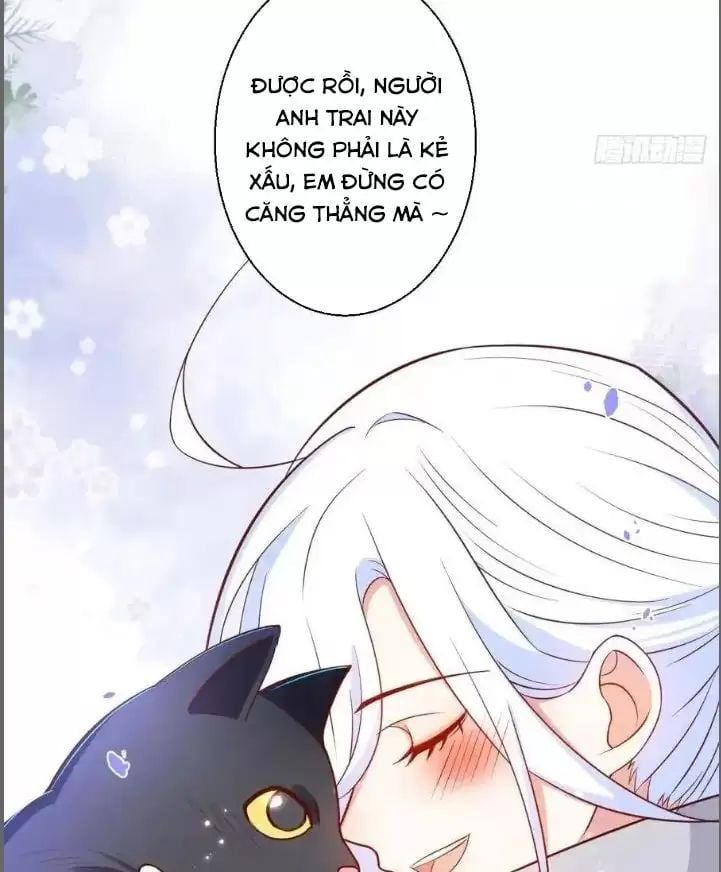Hắc Đạo Đáng Yêu Chapter 235 - 9