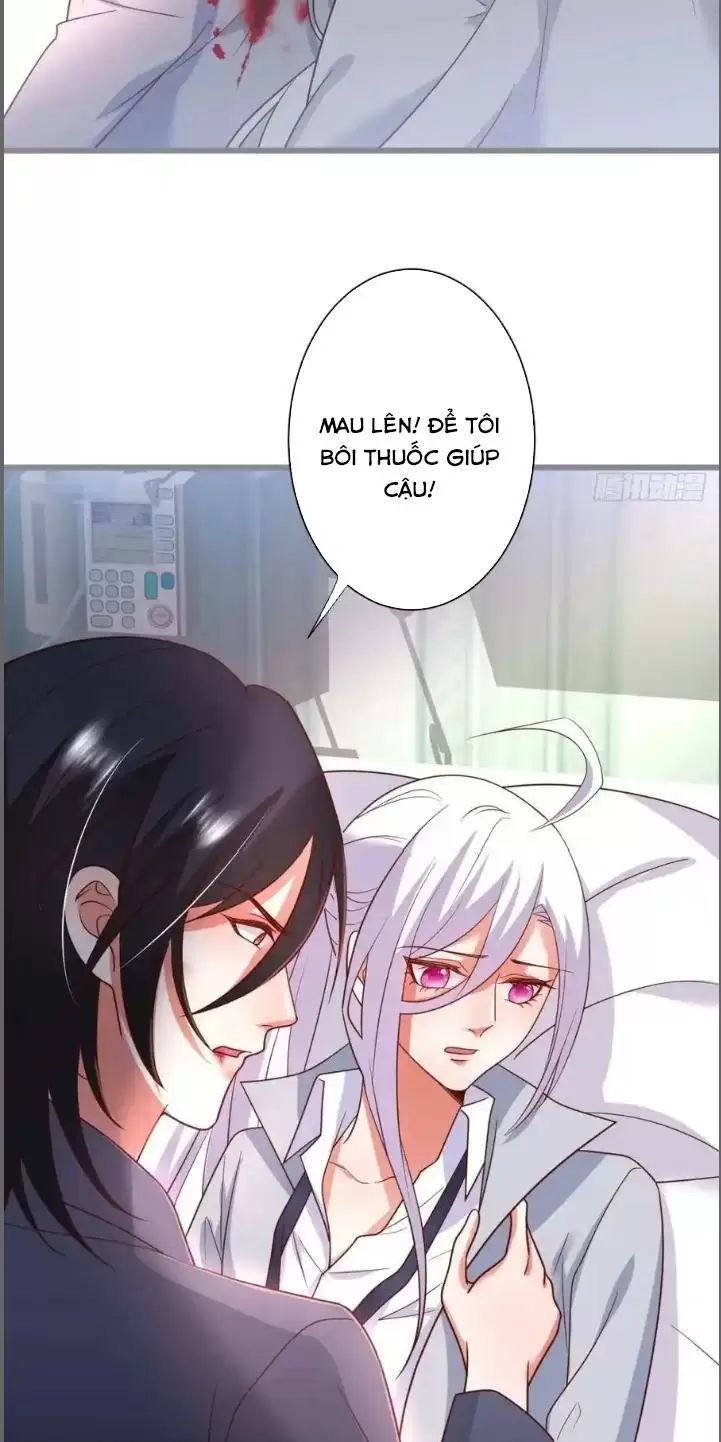Hắc Đạo Đáng Yêu Chapter 236 - 11