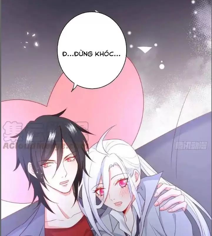 Hắc Đạo Đáng Yêu Chapter 237 - 47