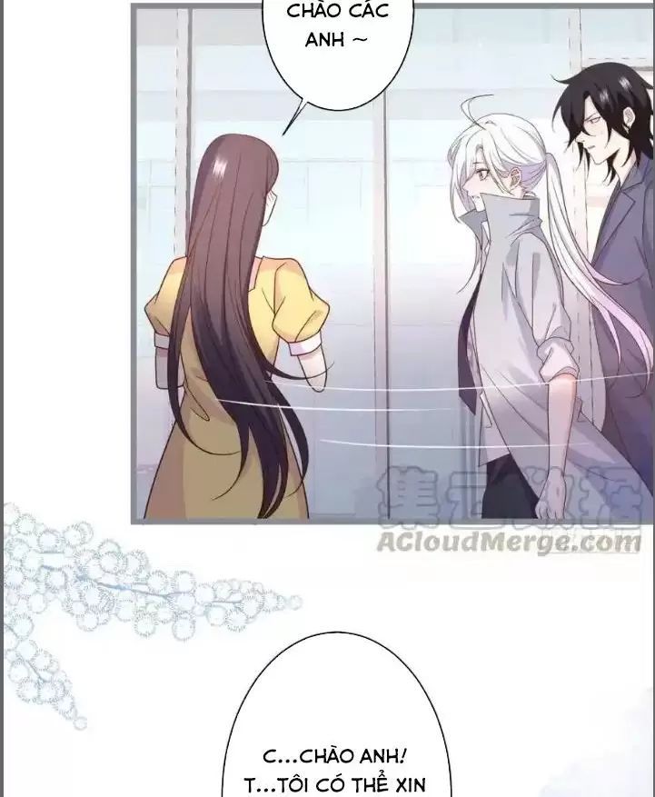 Hắc Đạo Đáng Yêu Chapter 238 - 18