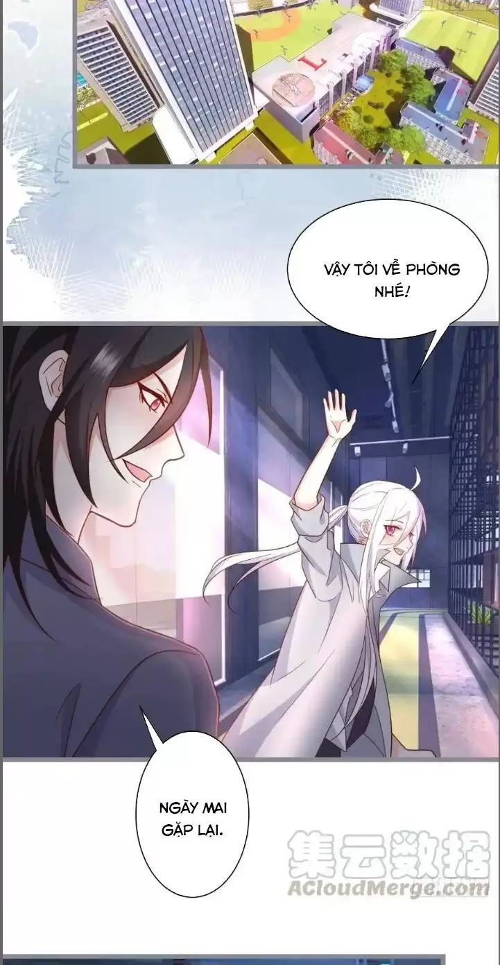 Hắc Đạo Đáng Yêu Chapter 238 - 27