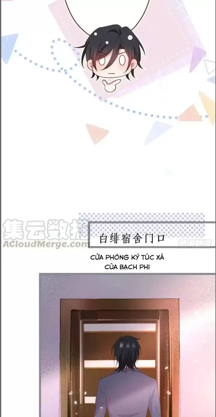 Hắc Đạo Đáng Yêu Chapter 238 - 37