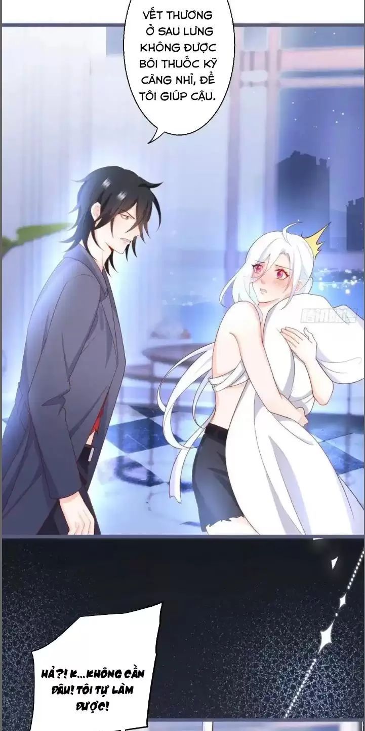 Hắc Đạo Đáng Yêu Chapter 239 - 11