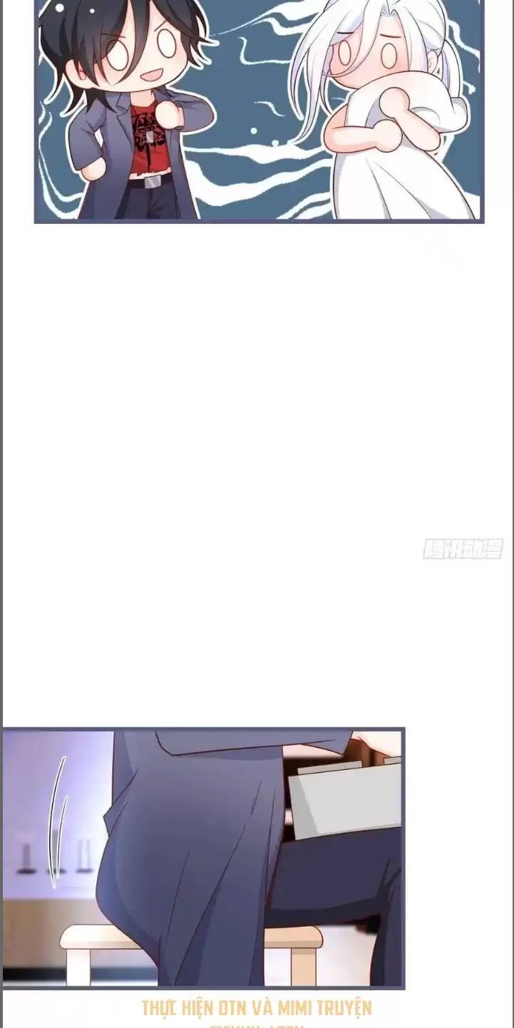 Hắc Đạo Đáng Yêu Chapter 239 - 17