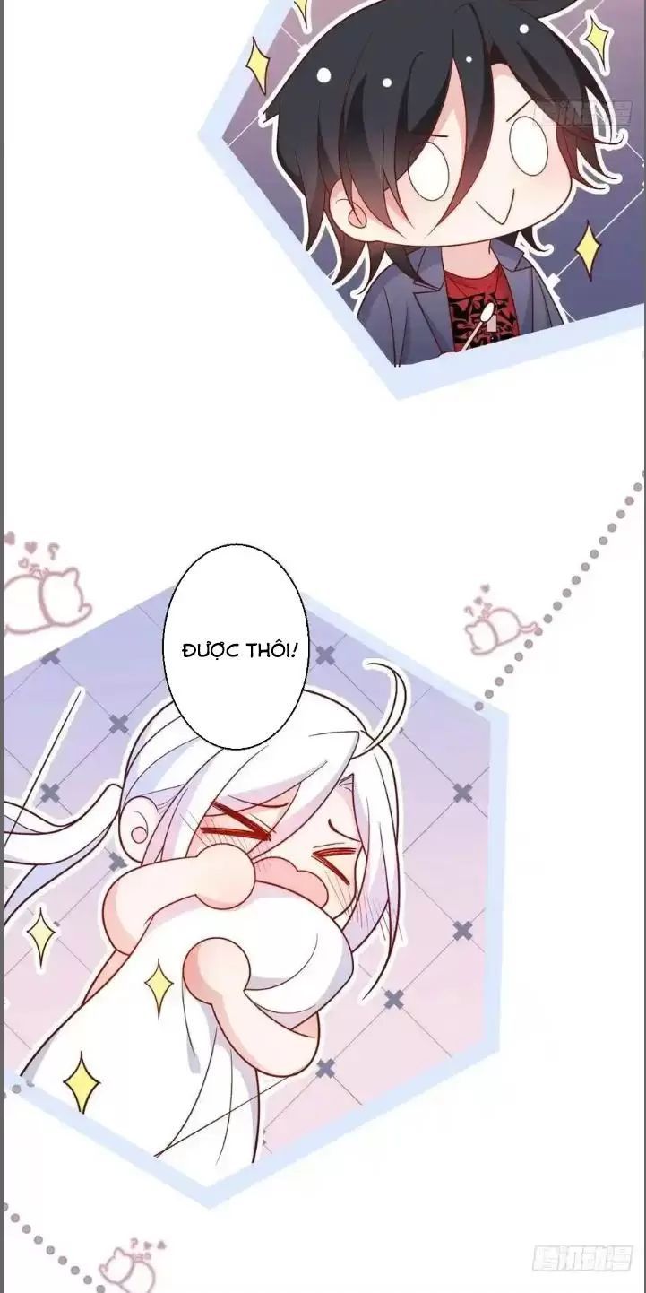 Hắc Đạo Đáng Yêu Chapter 239 - 20