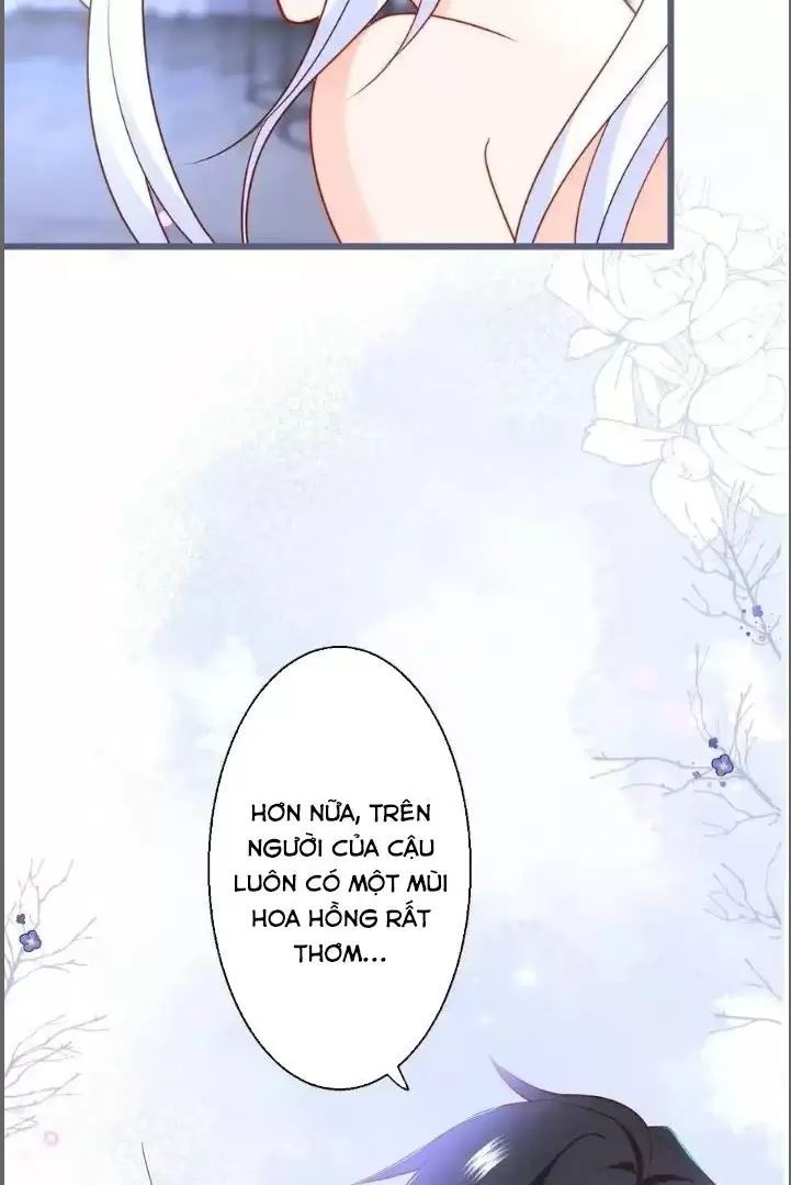 Hắc Đạo Đáng Yêu Chapter 239 - 27