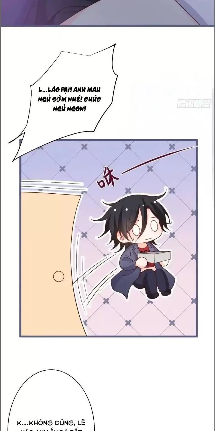 Hắc Đạo Đáng Yêu Chapter 239 - 29