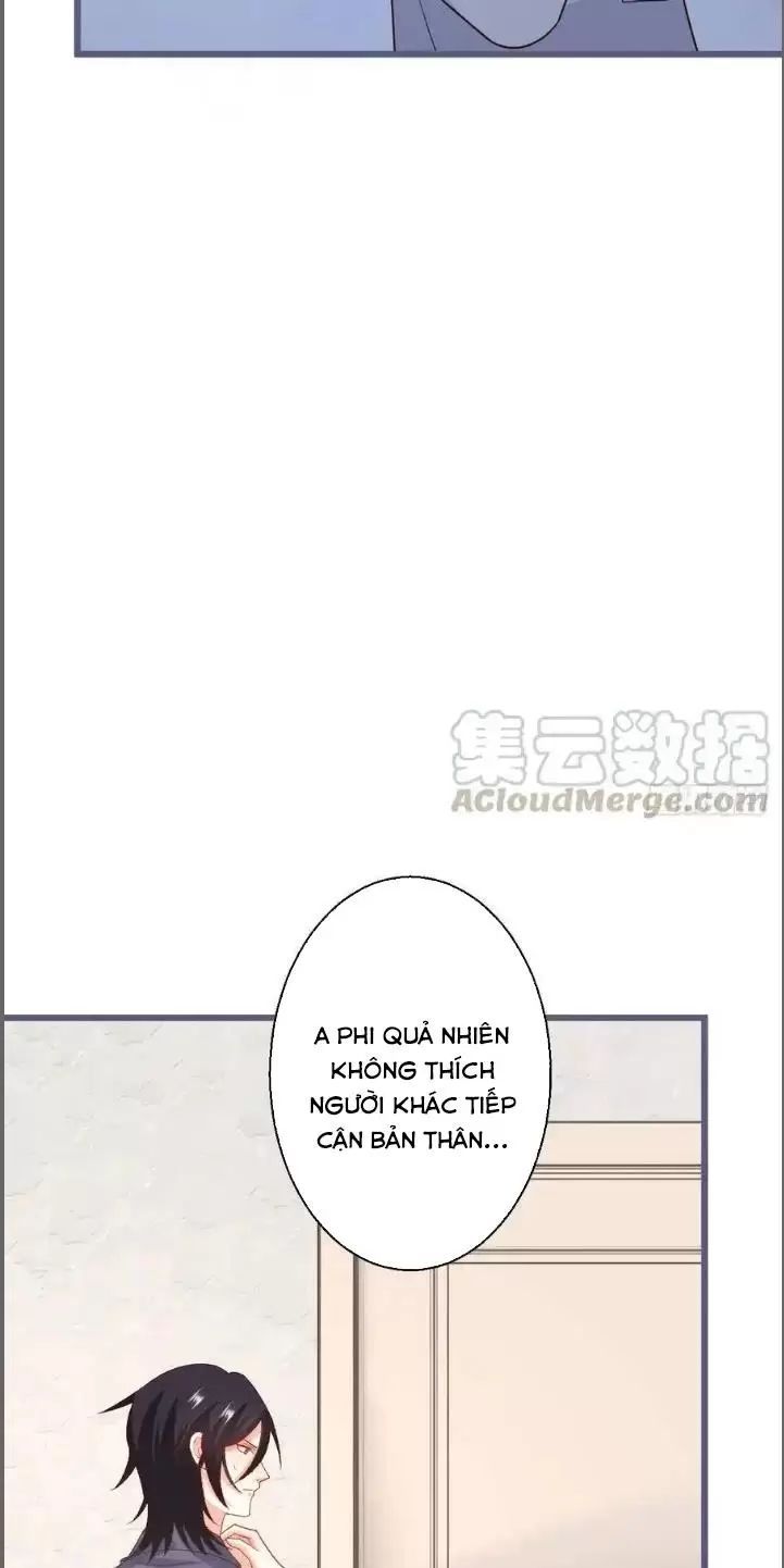 Hắc Đạo Đáng Yêu Chapter 239 - 32