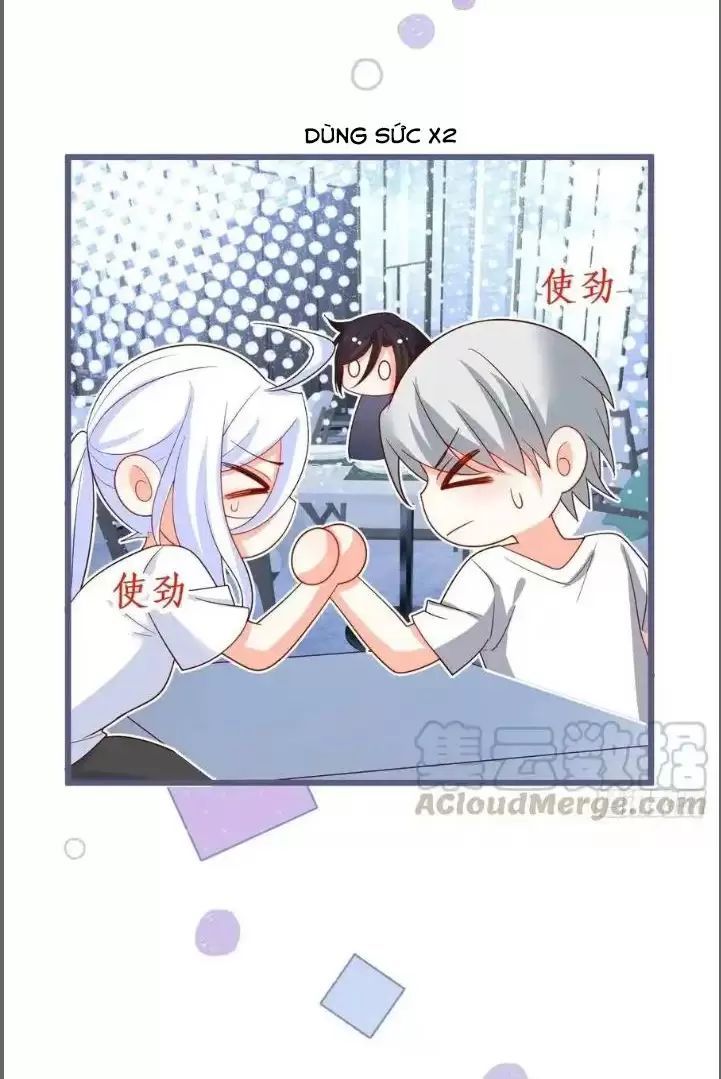 Hắc Đạo Đáng Yêu Chapter 239 - 36