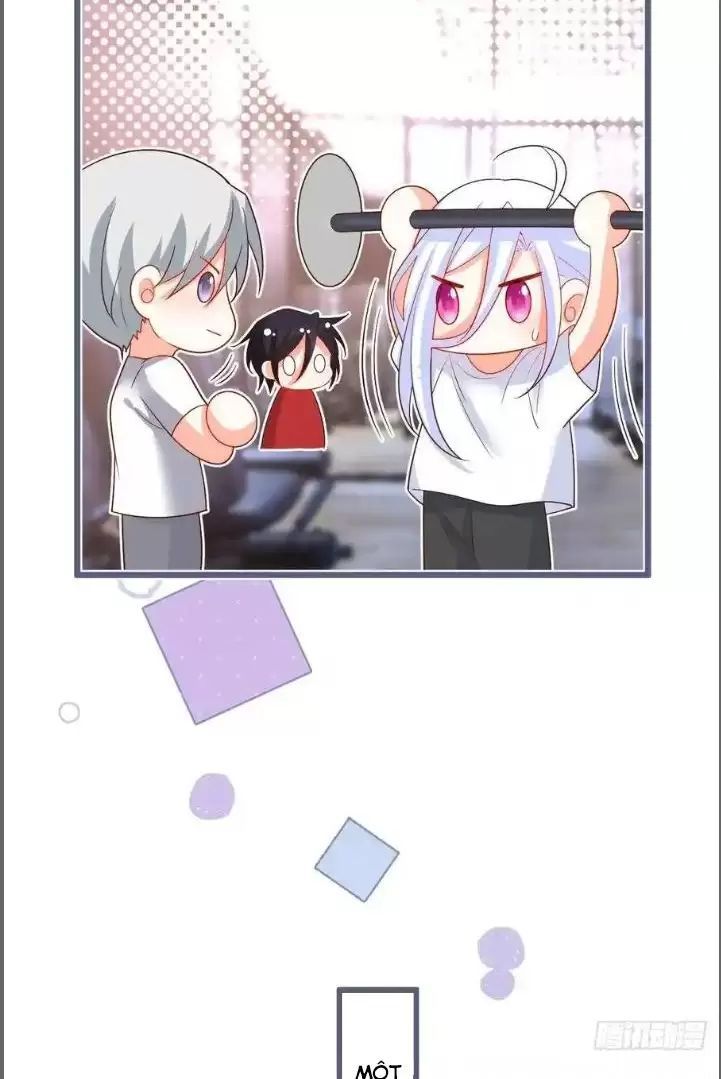 Hắc Đạo Đáng Yêu Chapter 239 - 39