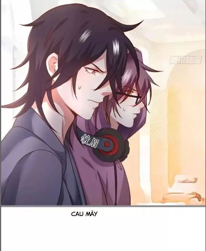 Hắc Đạo Đáng Yêu Chapter 240 - 16