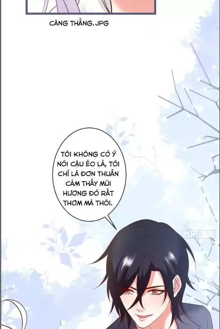 Hắc Đạo Đáng Yêu Chapter 241 - 33