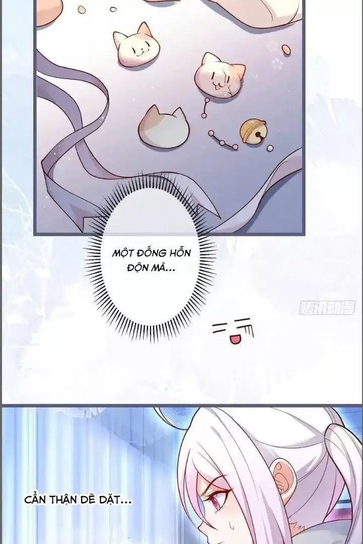 Hắc Đạo Đáng Yêu Chapter 241 - 47