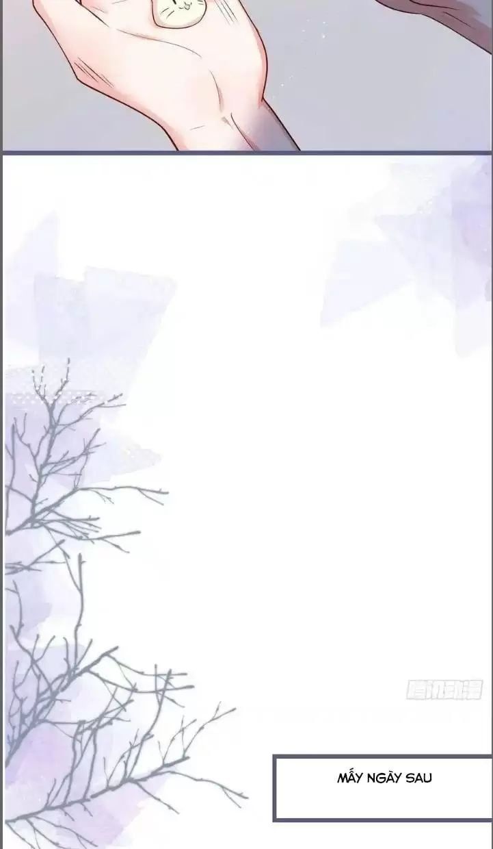 Hắc Đạo Đáng Yêu Chapter 241 - 49