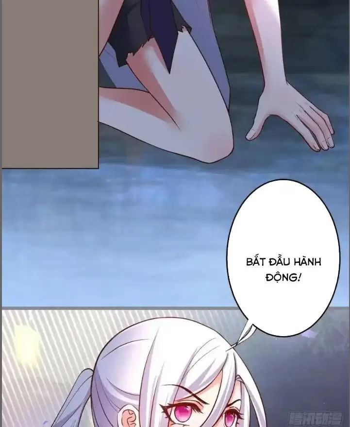 Hắc Đạo Đáng Yêu Chapter 242 - 13