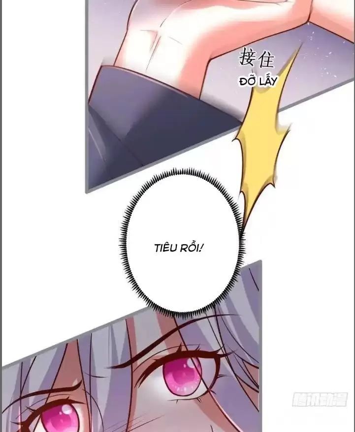 Hắc Đạo Đáng Yêu Chapter 242 - 21