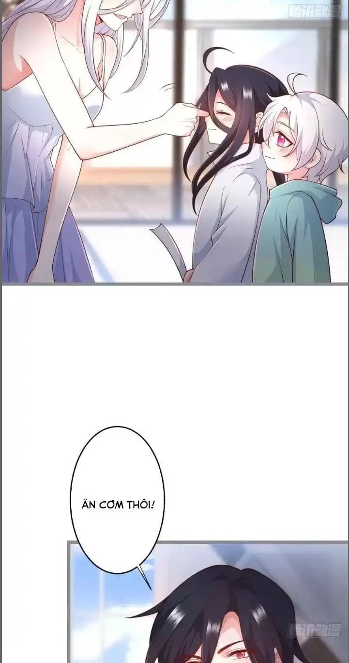 Hắc Đạo Đáng Yêu Chapter 242 - 52