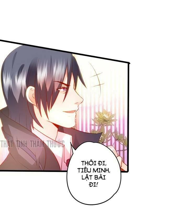 Hắc Đạo Đáng Yêu Chapter 25 - 11