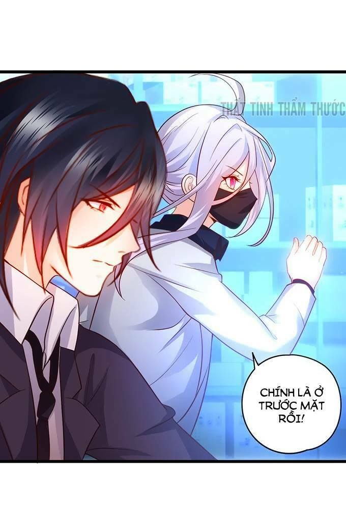 Hắc Đạo Đáng Yêu Chapter 25 - 24