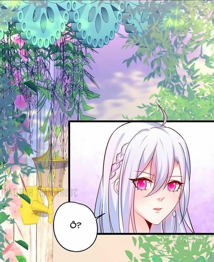 Hắc Đạo Đáng Yêu Chapter 28 - 41