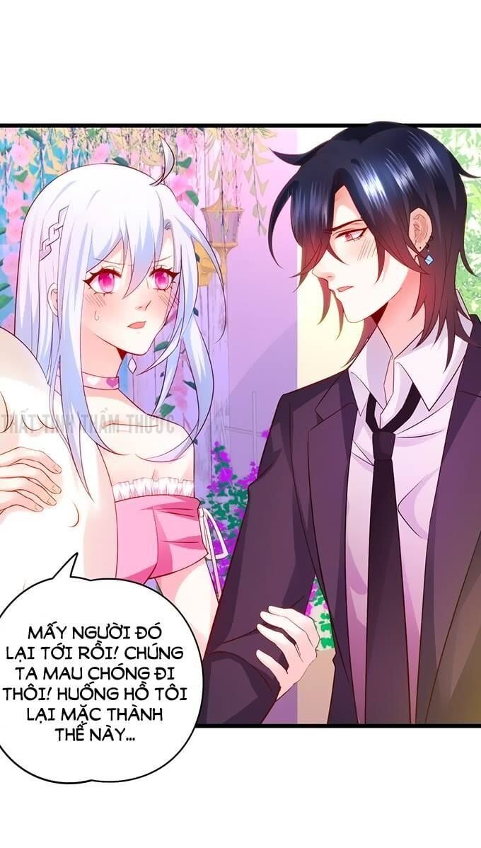 Hắc Đạo Đáng Yêu Chapter 29 - 36