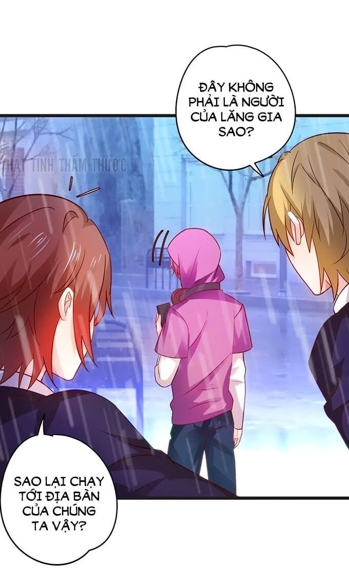 Hắc Đạo Đáng Yêu Chapter 29 - 5