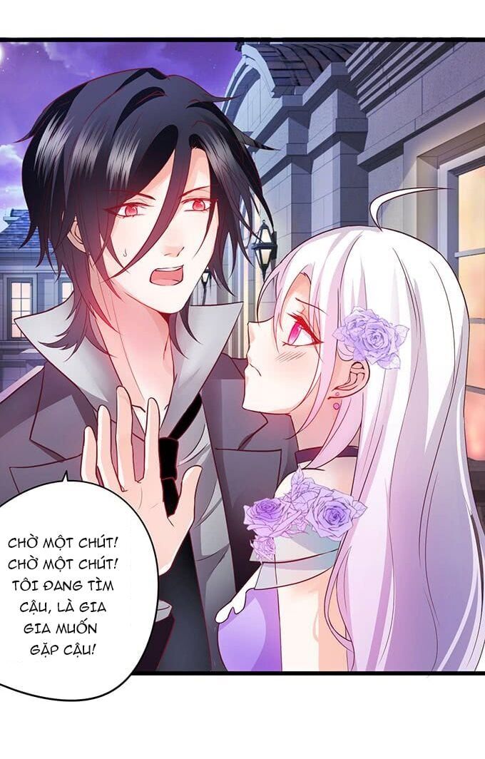 Hắc Đạo Đáng Yêu Chapter 3 - 43