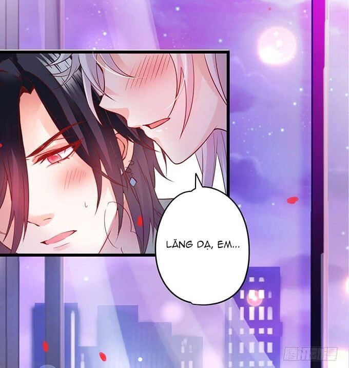 Hắc Đạo Đáng Yêu Chapter 3 - 73