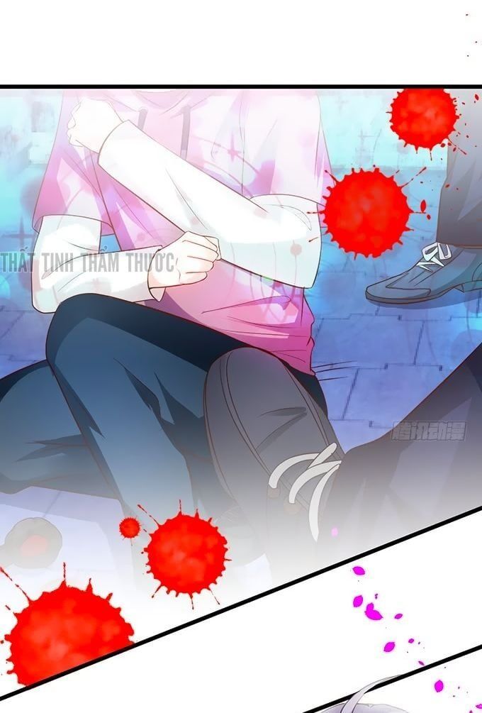 Hắc Đạo Đáng Yêu Chapter 31 - 50