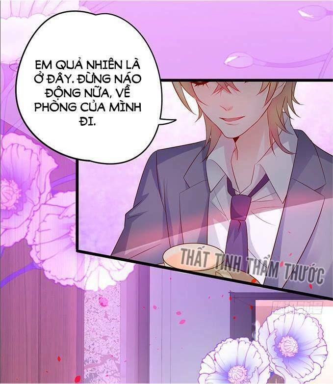 Hắc Đạo Đáng Yêu Chapter 32 - 67