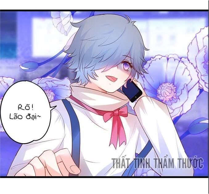 Hắc Đạo Đáng Yêu Chapter 33 - 29