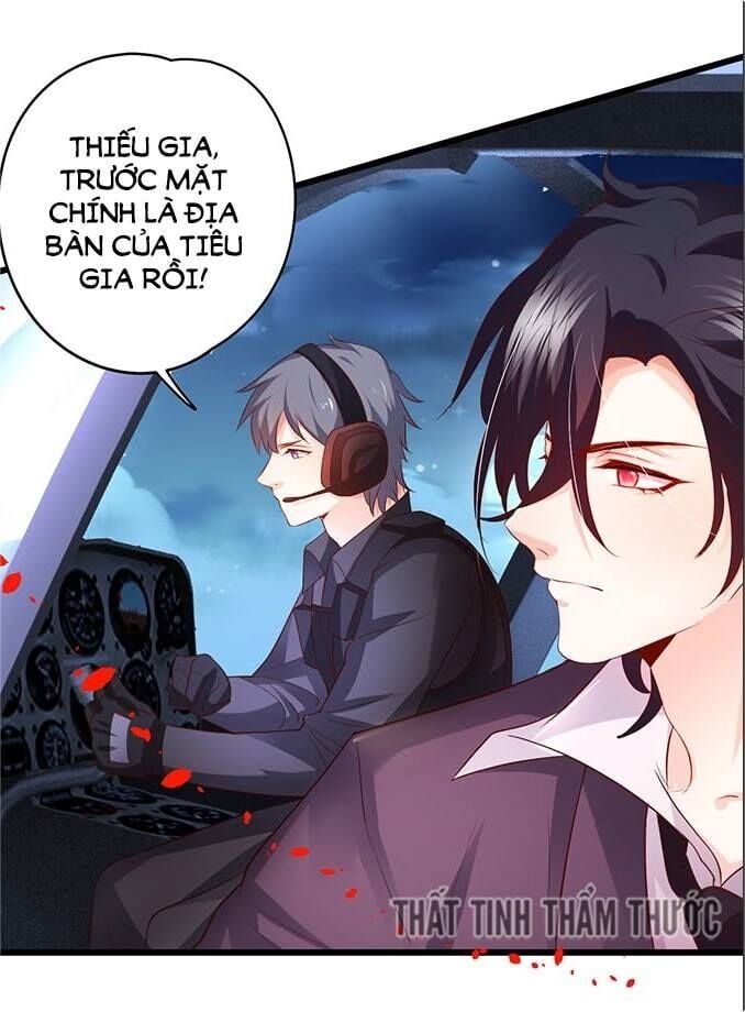 Hắc Đạo Đáng Yêu Chapter 33 - 33