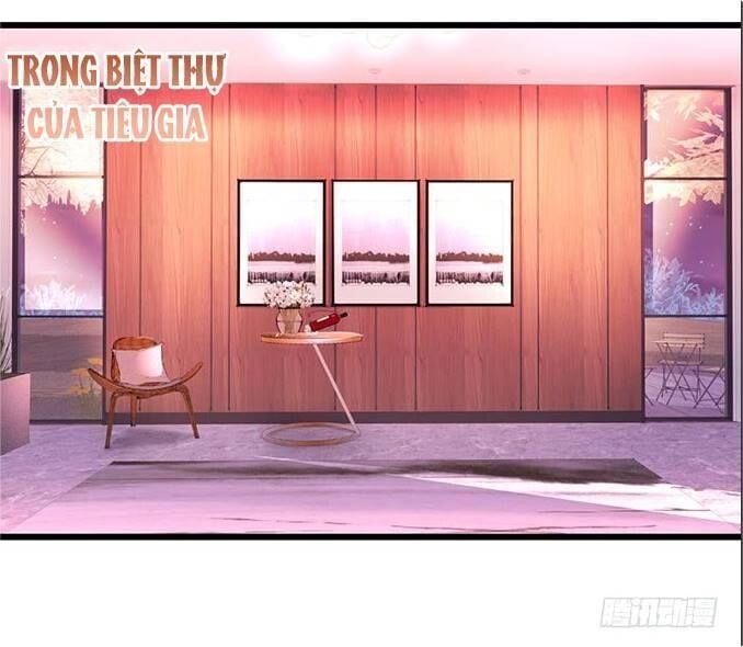 Hắc Đạo Đáng Yêu Chapter 33 - 40