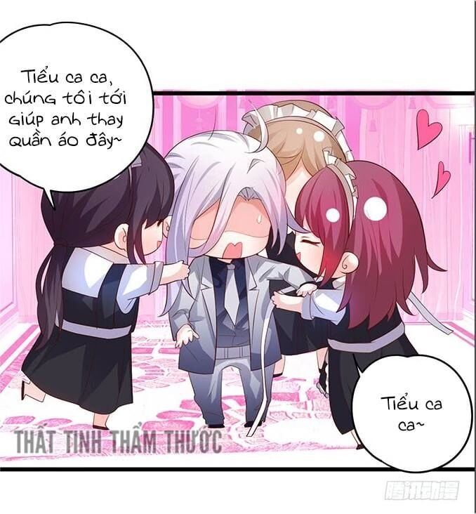 Hắc Đạo Đáng Yêu Chapter 33 - 41