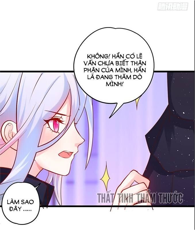 Hắc Đạo Đáng Yêu Chapter 33 - 47